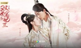 双式宠妃在线观看,穿越时空的甜蜜邂逅